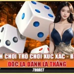 9-cach-choi-tro-choi-xuc-xac-bi-kip-doc-la-danh-la-thang